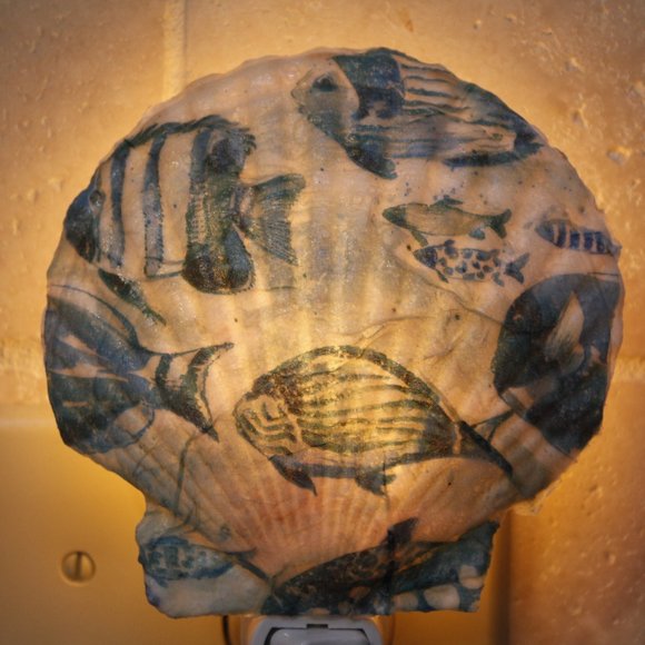 Sea Shell Night Light with Fish Design - Picture 5 of 5